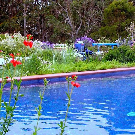 Lemonade Creek Cottages Lorne Eksteriør bilde