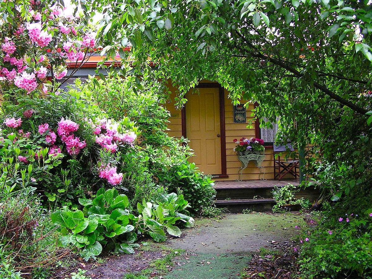 Lemonade Creek Cottages Lorne Eksteriør bilde
