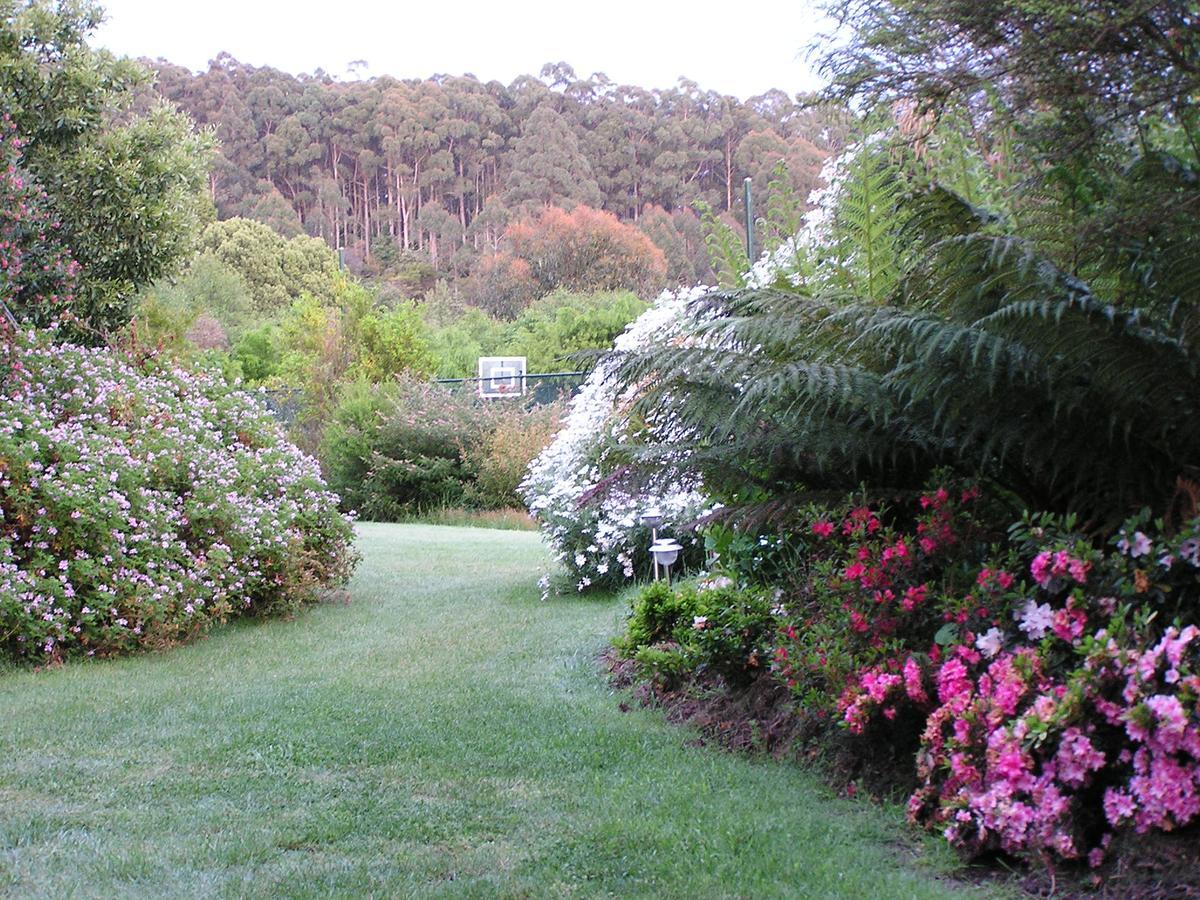 Lemonade Creek Cottages Lorne Eksteriør bilde