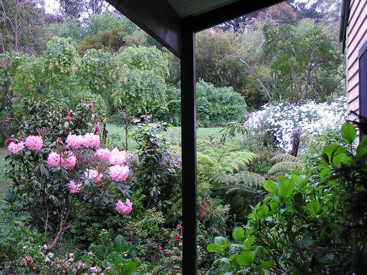 Lemonade Creek Cottages Lorne Eksteriør bilde