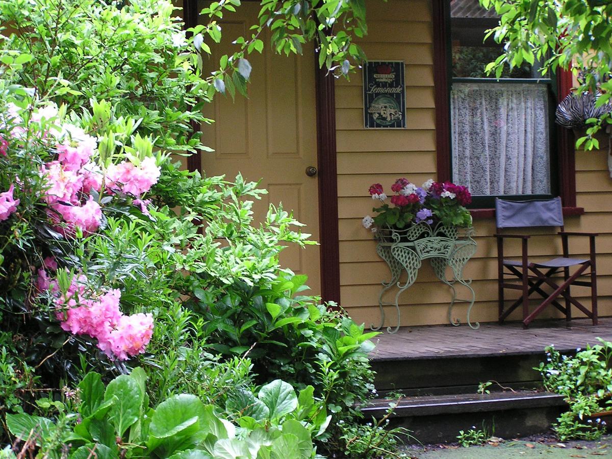 Lemonade Creek Cottages Lorne Eksteriør bilde