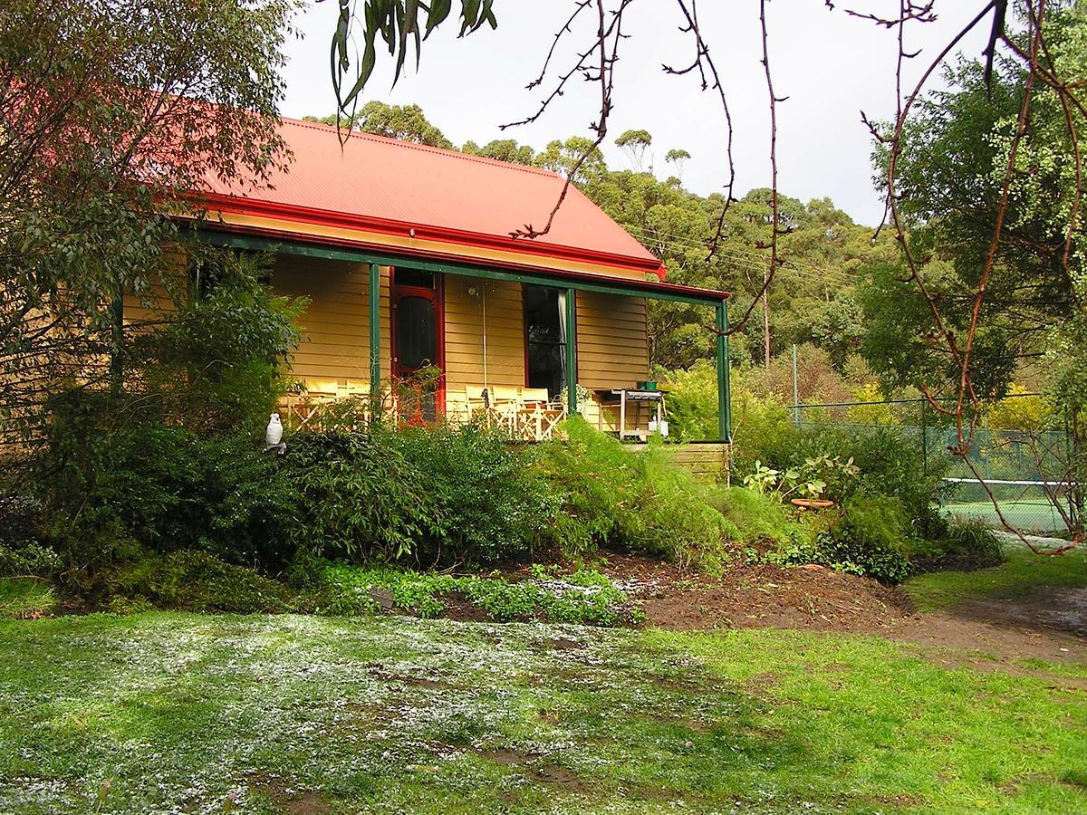 Lemonade Creek Cottages Lorne Eksteriør bilde