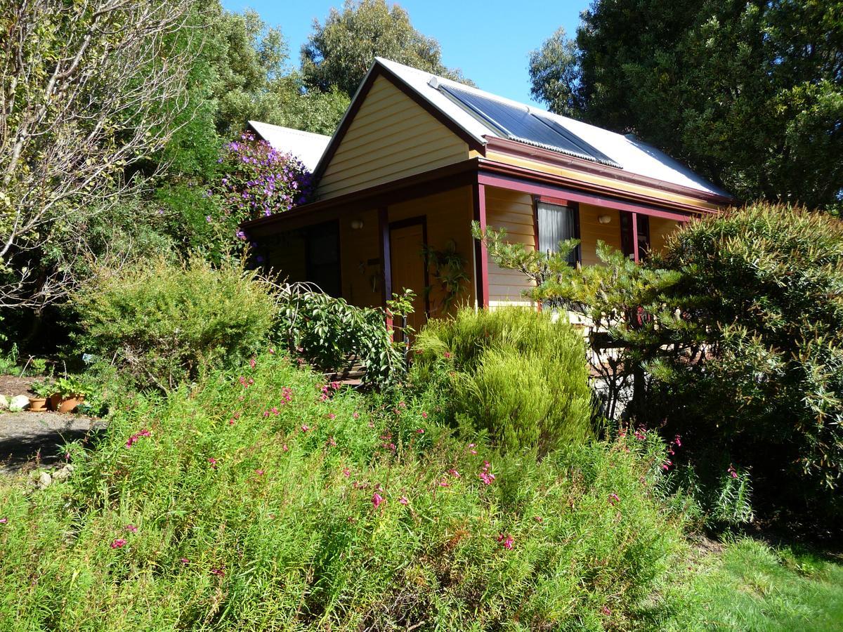Lemonade Creek Cottages Lorne Eksteriør bilde