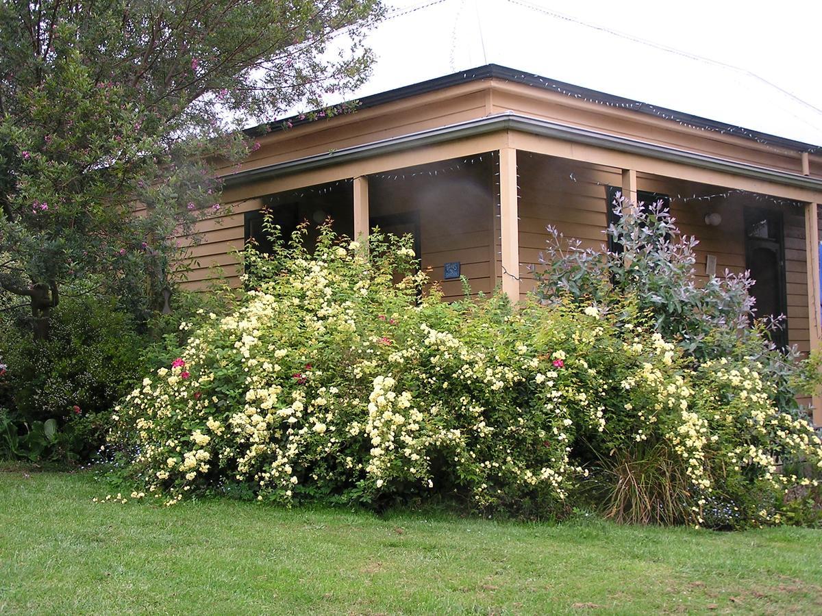 Lemonade Creek Cottages Lorne Eksteriør bilde
