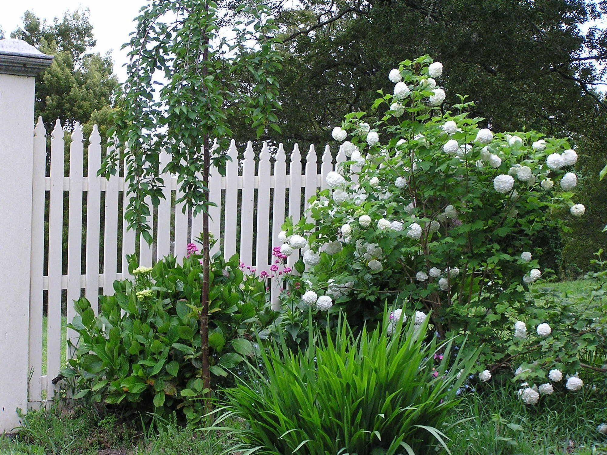 Lemonade Creek Cottages Lorne Eksteriør bilde
