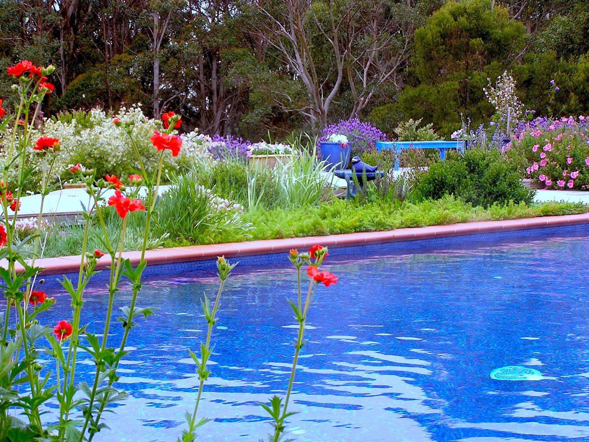 Lemonade Creek Cottages Lorne Eksteriør bilde