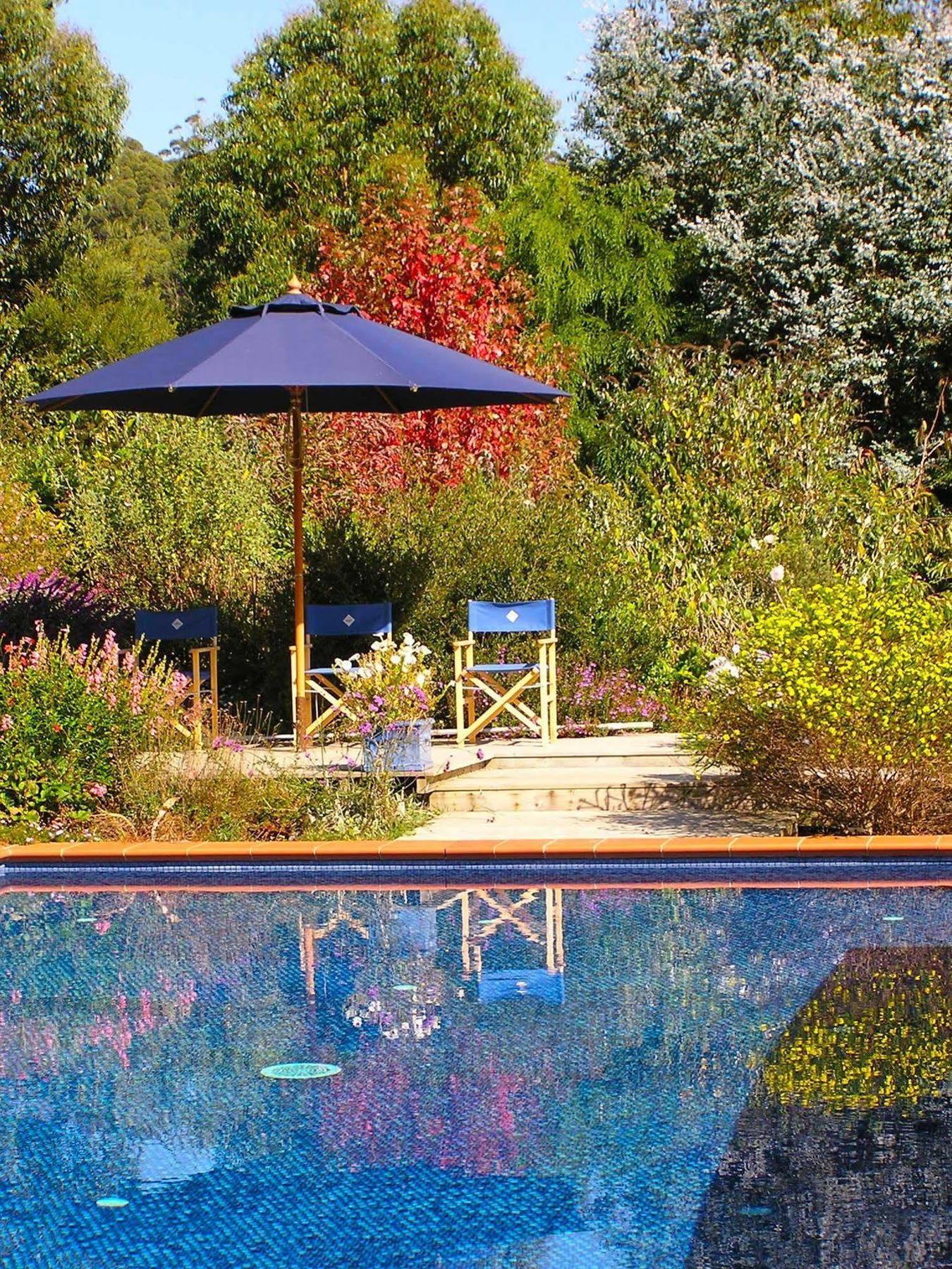 Lemonade Creek Cottages Lorne Eksteriør bilde