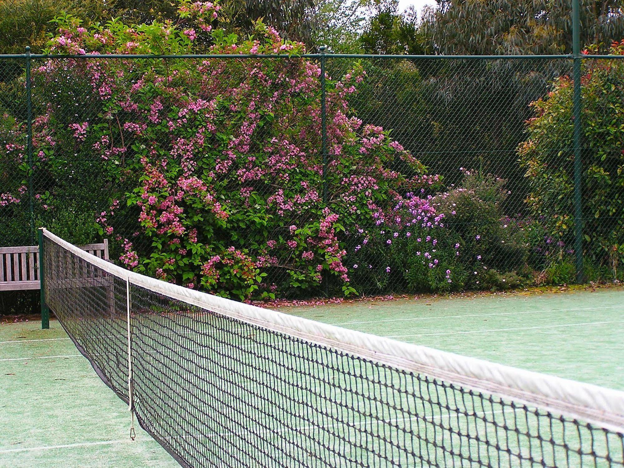 Lemonade Creek Cottages Lorne Eksteriør bilde