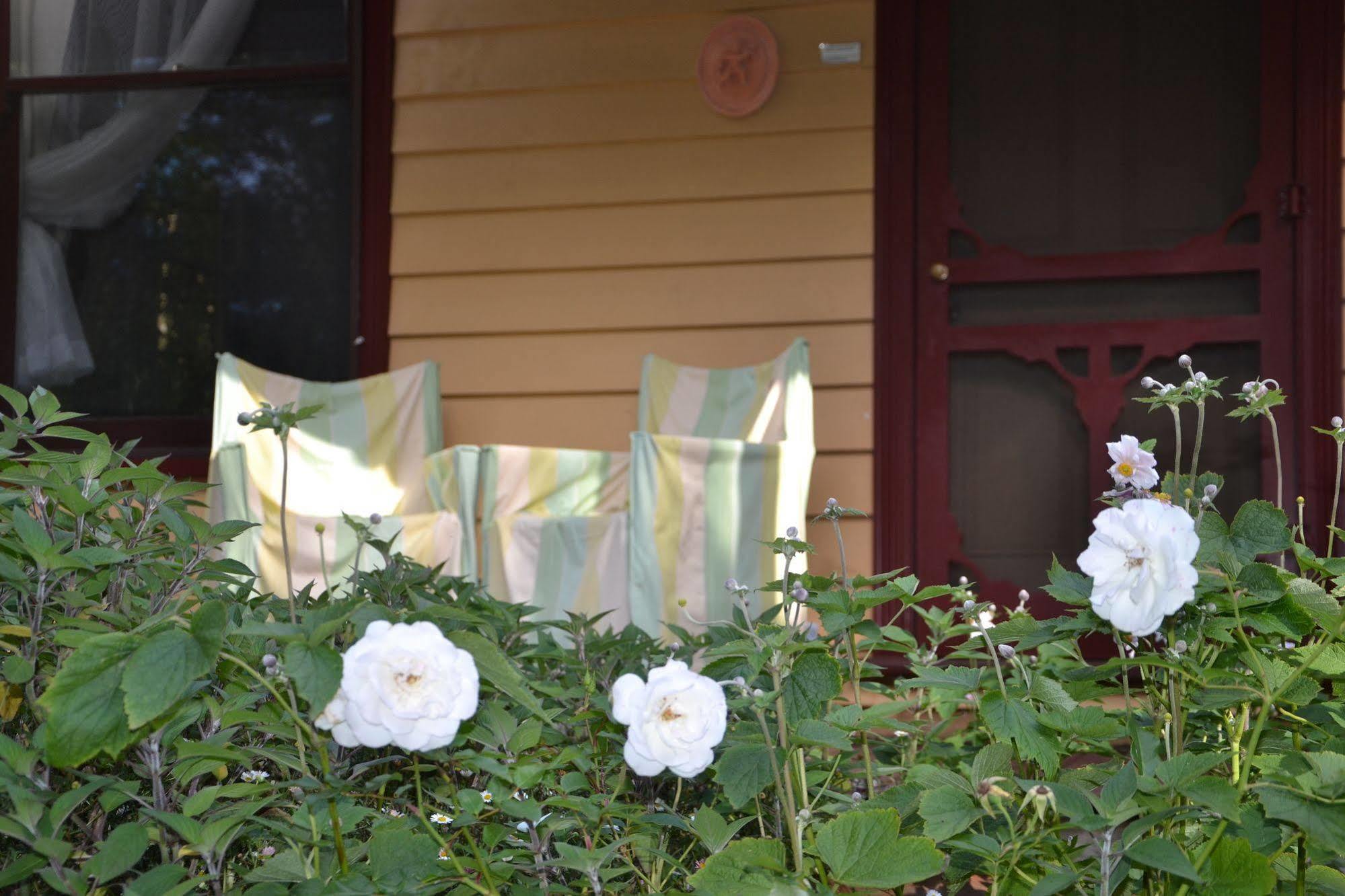 Lemonade Creek Cottages Lorne Eksteriør bilde