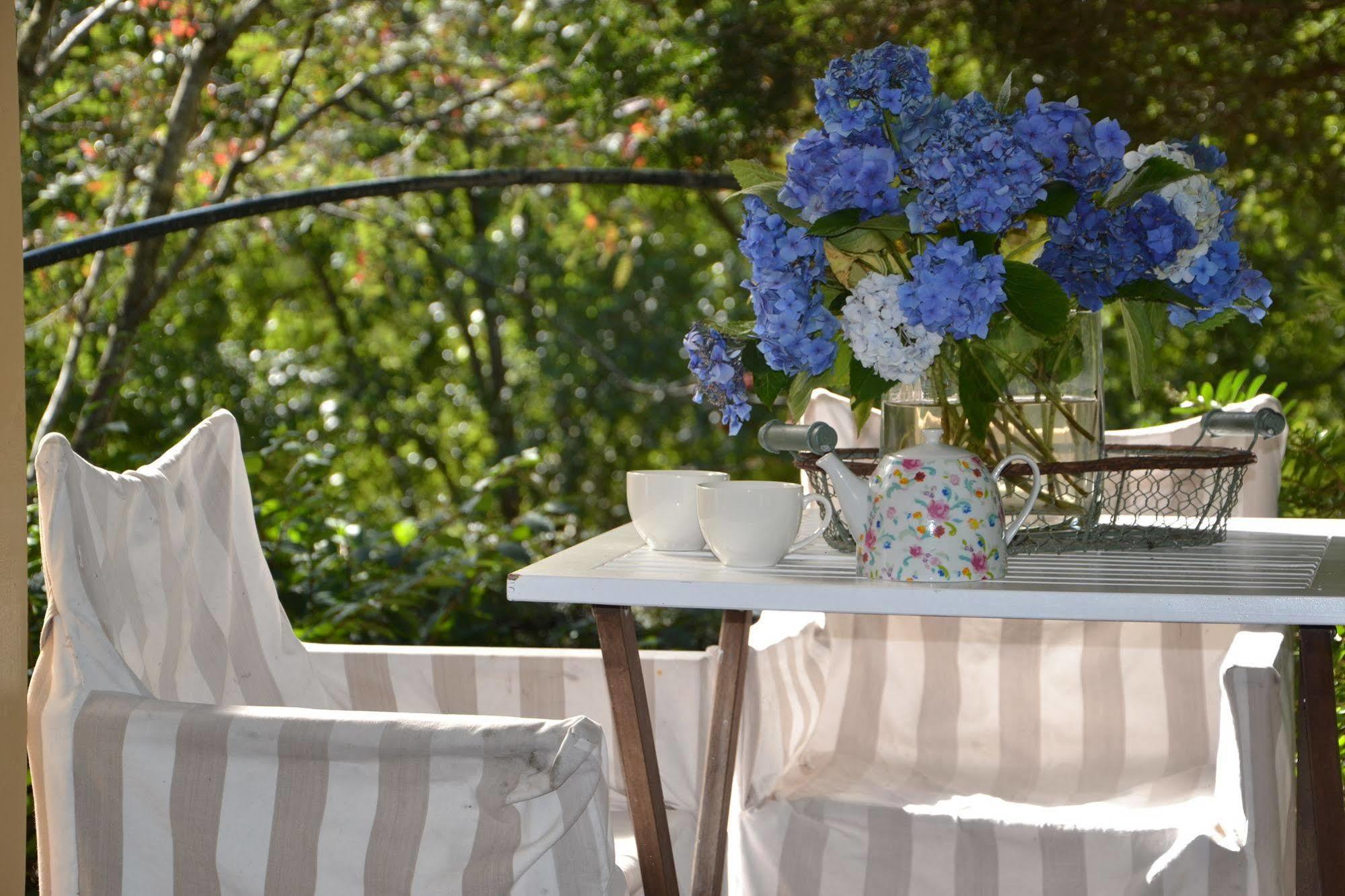 Lemonade Creek Cottages Lorne Eksteriør bilde